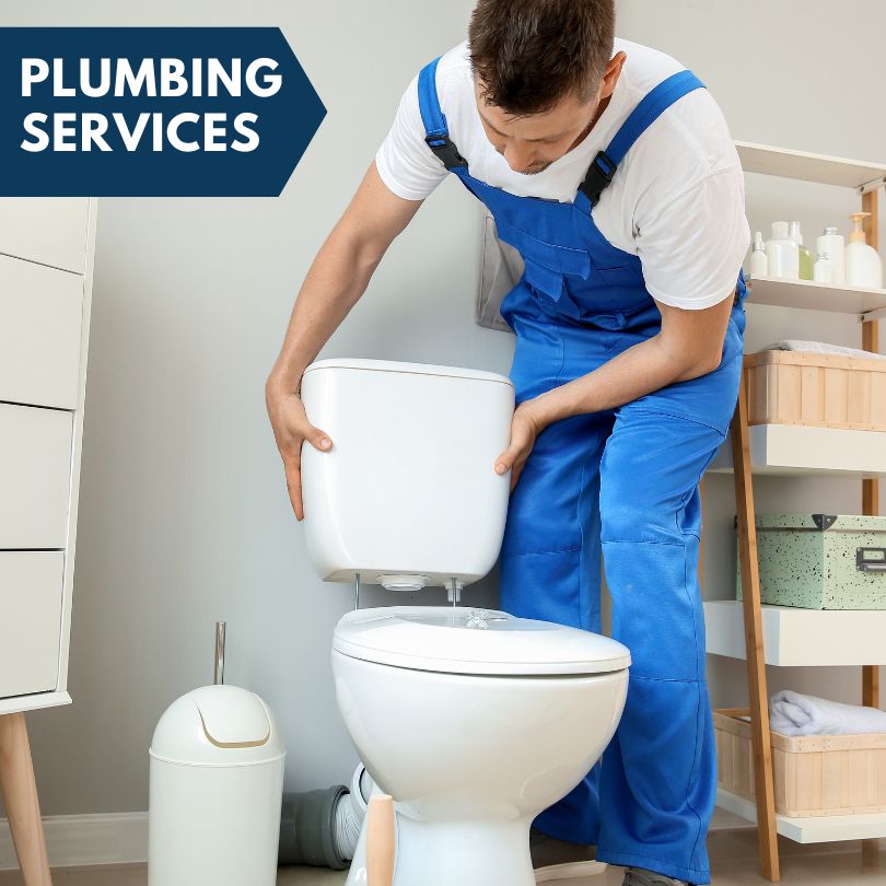 Plumbing Company in Dowling, MI